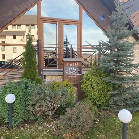 Apartment Koplux Milmari Spa Kopaonik
